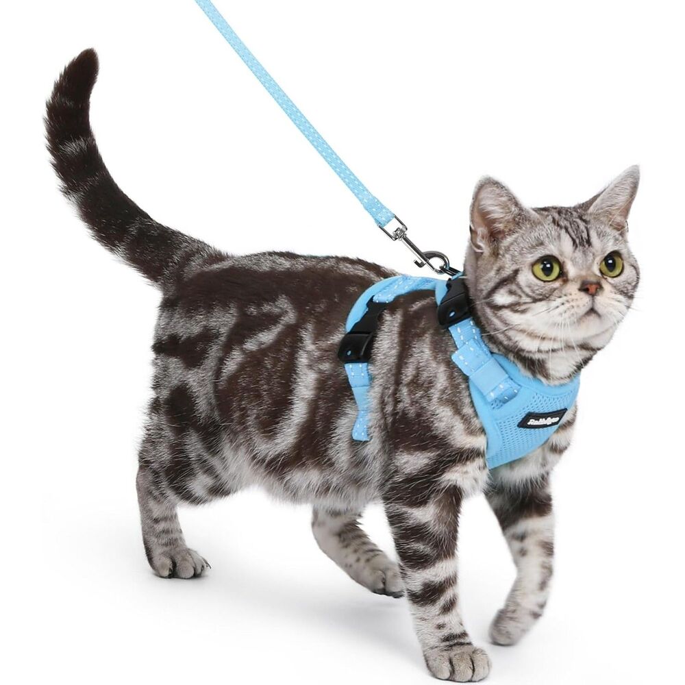 rabbitgoo Cat Harness and Leash Escape Proof Walking Vest Adjustable Reflective